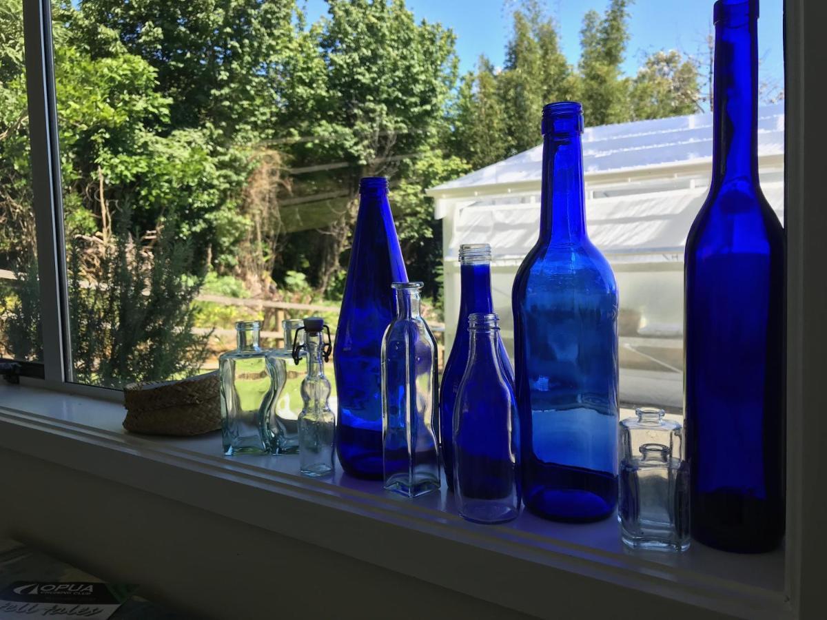 Appartamento Perfect Base In The Bay Of Islands Opua Esterno foto