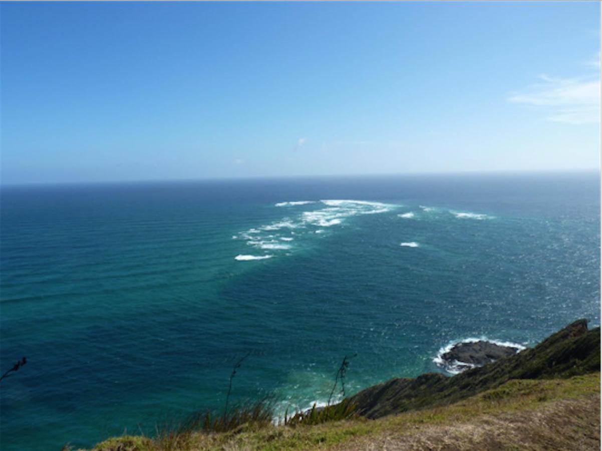 Appartamento Perfect Base In The Bay Of Islands Opua Esterno foto